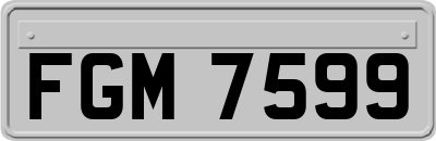 FGM7599