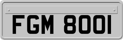 FGM8001