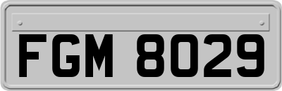 FGM8029