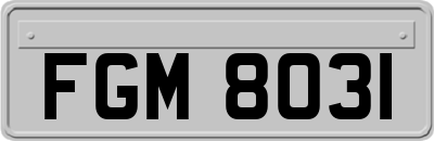 FGM8031