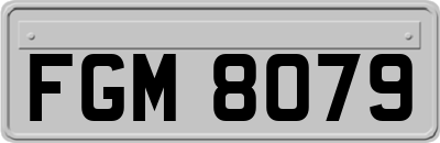 FGM8079