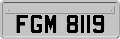 FGM8119