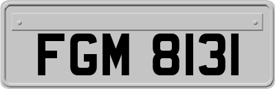 FGM8131