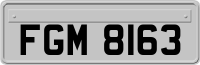 FGM8163