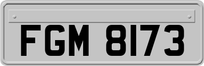 FGM8173