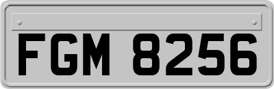 FGM8256
