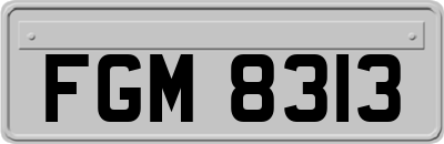 FGM8313