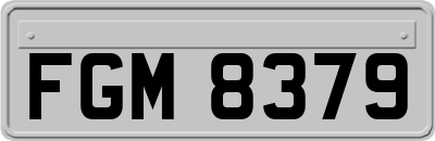 FGM8379