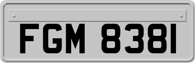 FGM8381