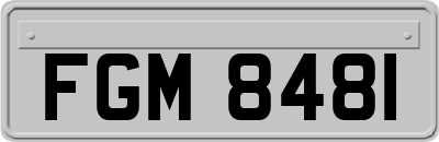 FGM8481