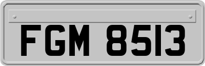 FGM8513