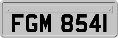 FGM8541