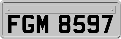 FGM8597