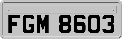 FGM8603