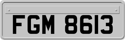 FGM8613