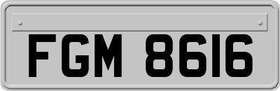 FGM8616