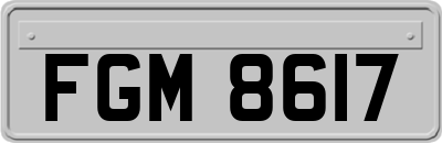 FGM8617