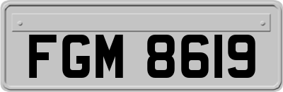 FGM8619