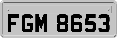 FGM8653