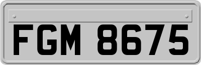 FGM8675