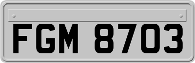 FGM8703