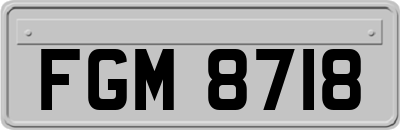 FGM8718