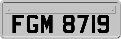 FGM8719