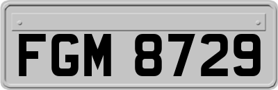 FGM8729