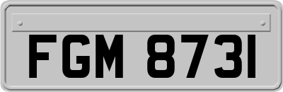 FGM8731