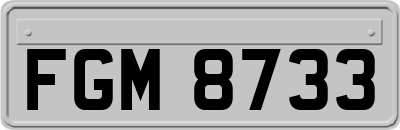 FGM8733