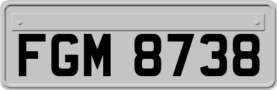 FGM8738