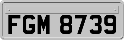 FGM8739