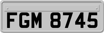FGM8745