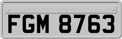 FGM8763