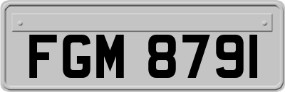 FGM8791