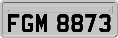 FGM8873