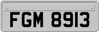 FGM8913