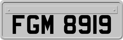 FGM8919