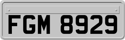 FGM8929