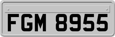 FGM8955
