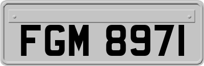 FGM8971
