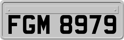 FGM8979
