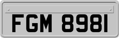 FGM8981