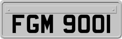 FGM9001
