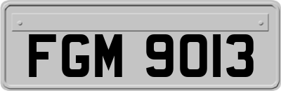 FGM9013