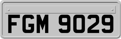 FGM9029