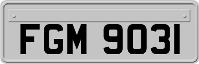 FGM9031