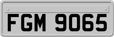 FGM9065