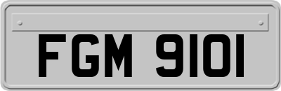 FGM9101