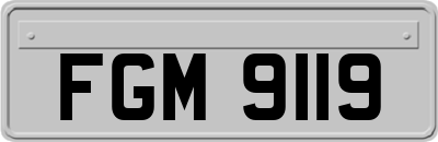 FGM9119